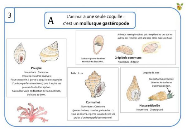 archives-des-outils-p-dagogiques-athena