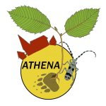 ATHENA Logo